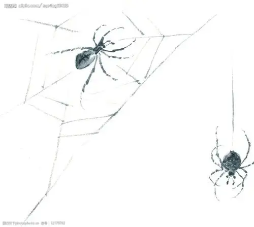 水墨风格的蜘蛛图片