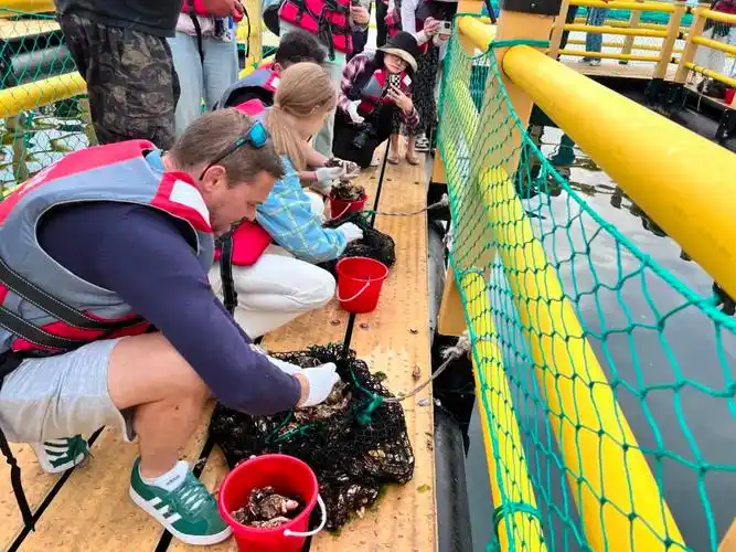 中国有约·相约山东 | 桑沟湾唱响"海洋牧歌"