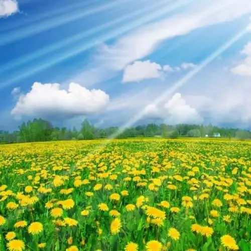 属牛人微信头像招财的