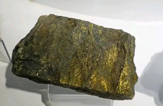 宝中之宝,全世界上出产最大的狗头金名叫"板状霍尔曼金块",据资料显示