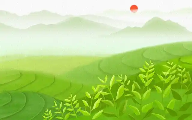 春天绿色水彩茶山茶叶茶树背景插画春茶茶文化采茶
